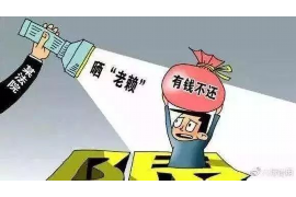 陈建斌的要账公司：揭开债务追收的神秘面纱